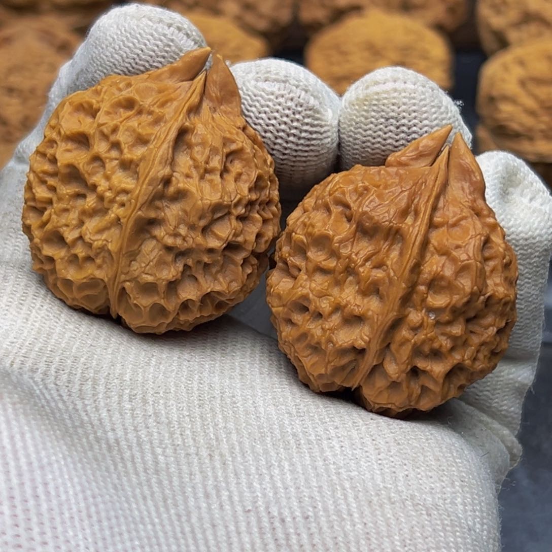 36尺寸异形 蟹钳 一物一图