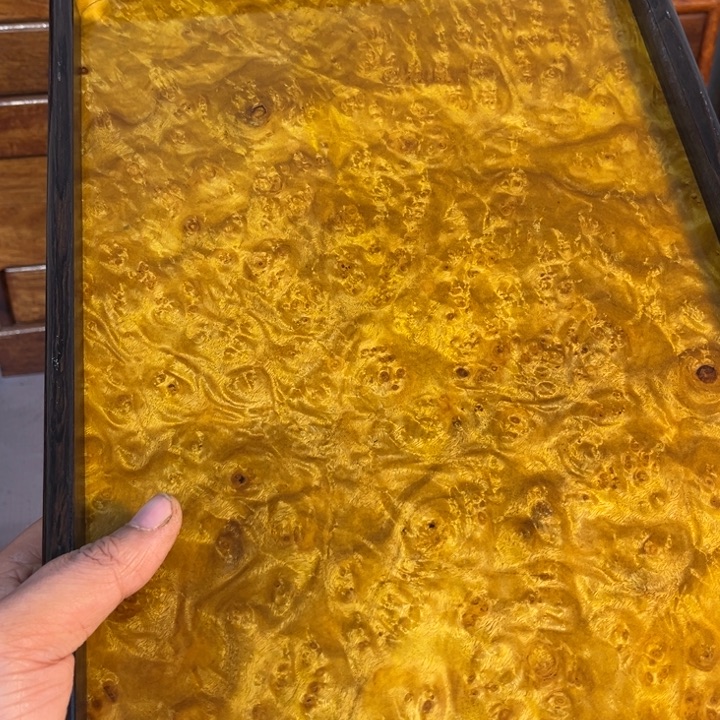 木黄金樟留疤超大托盘