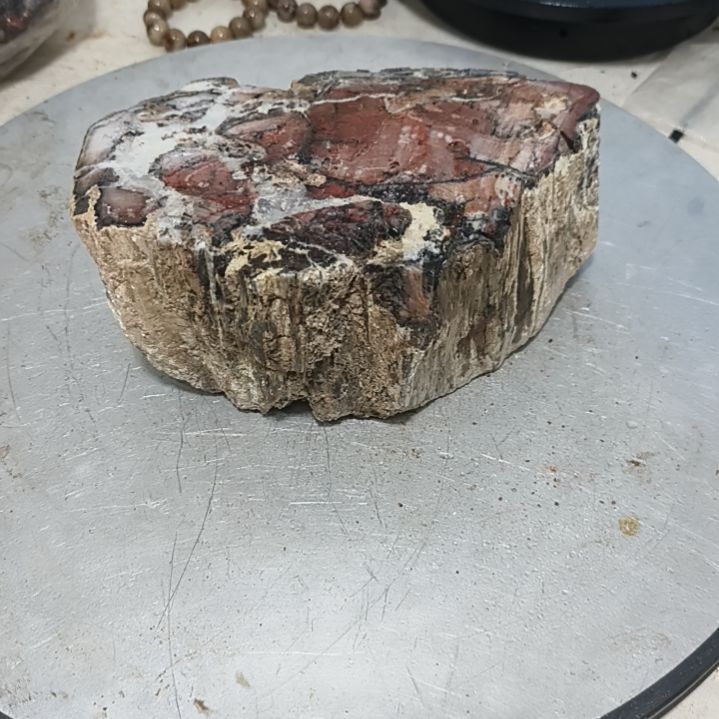 稻***～石材新疆奇台玉化硅化木