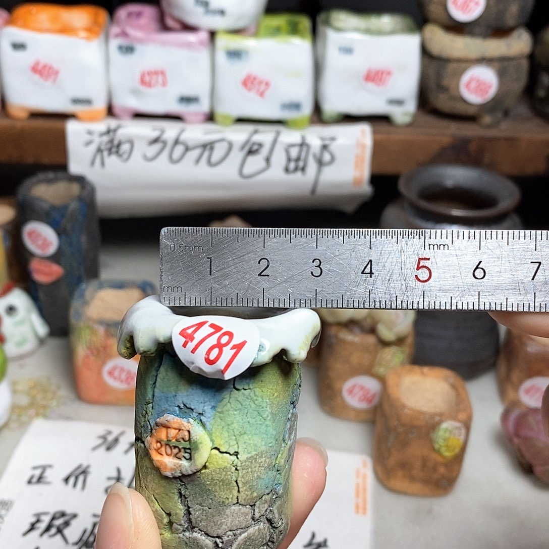 红陶拍5送一个小