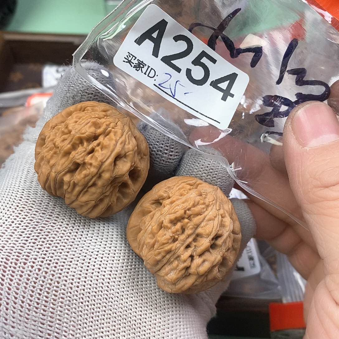 桃核把件骰子35尺。