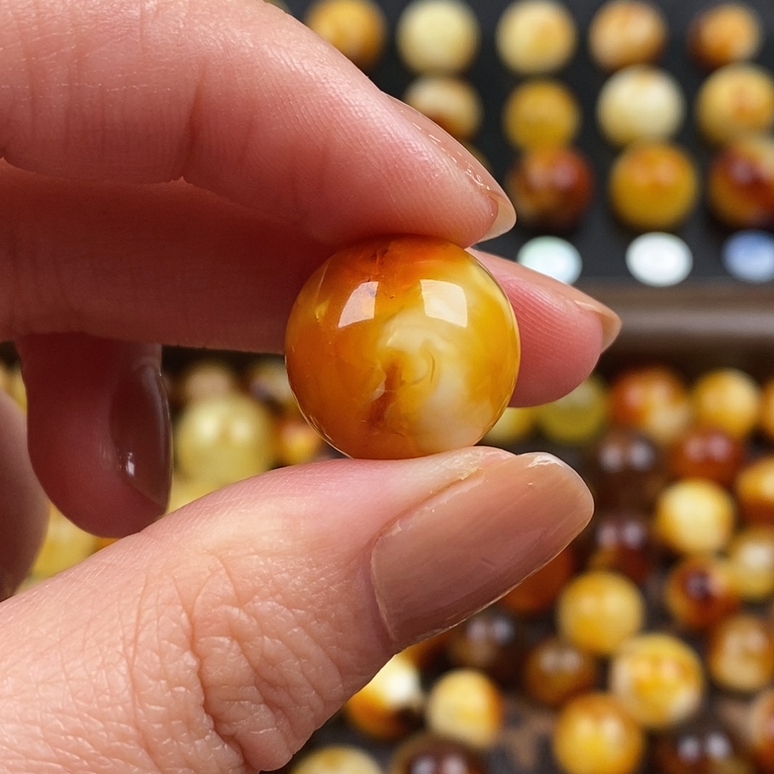 灰***鱼琥珀未镶嵌裸石蜜蜡