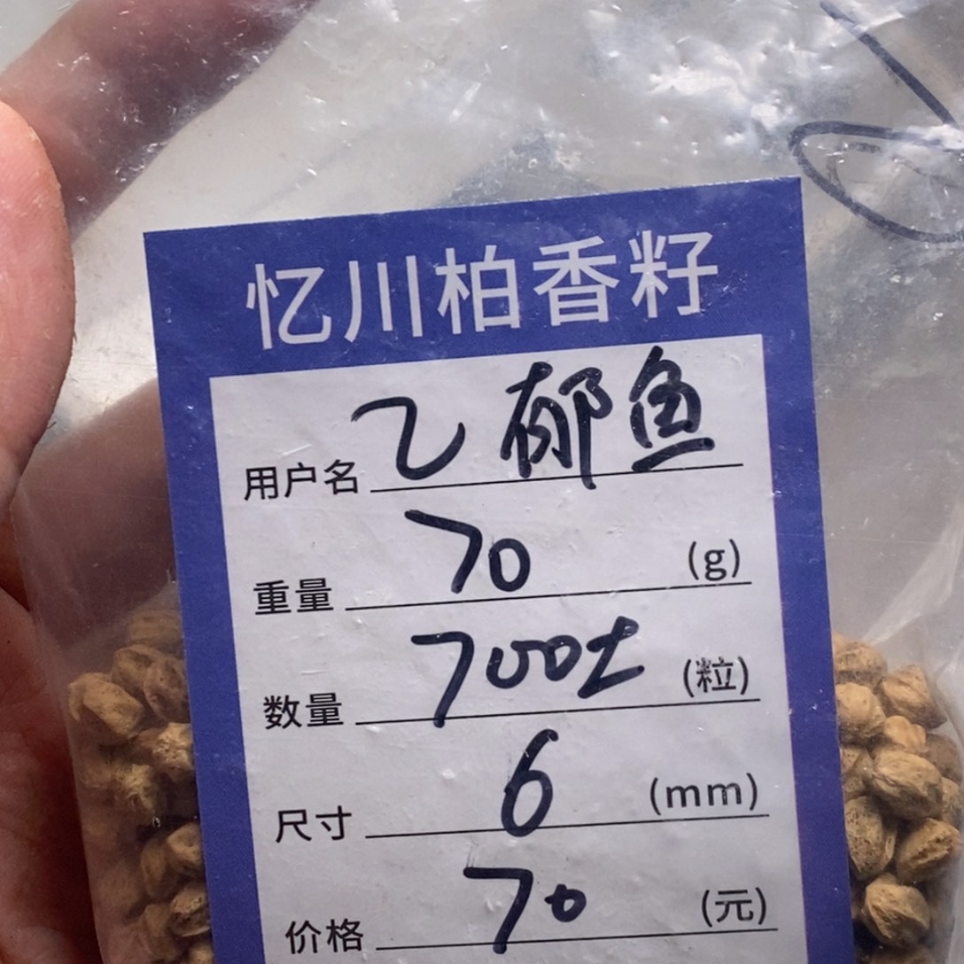 柏香籽/百香籽吊坠乙*鱼