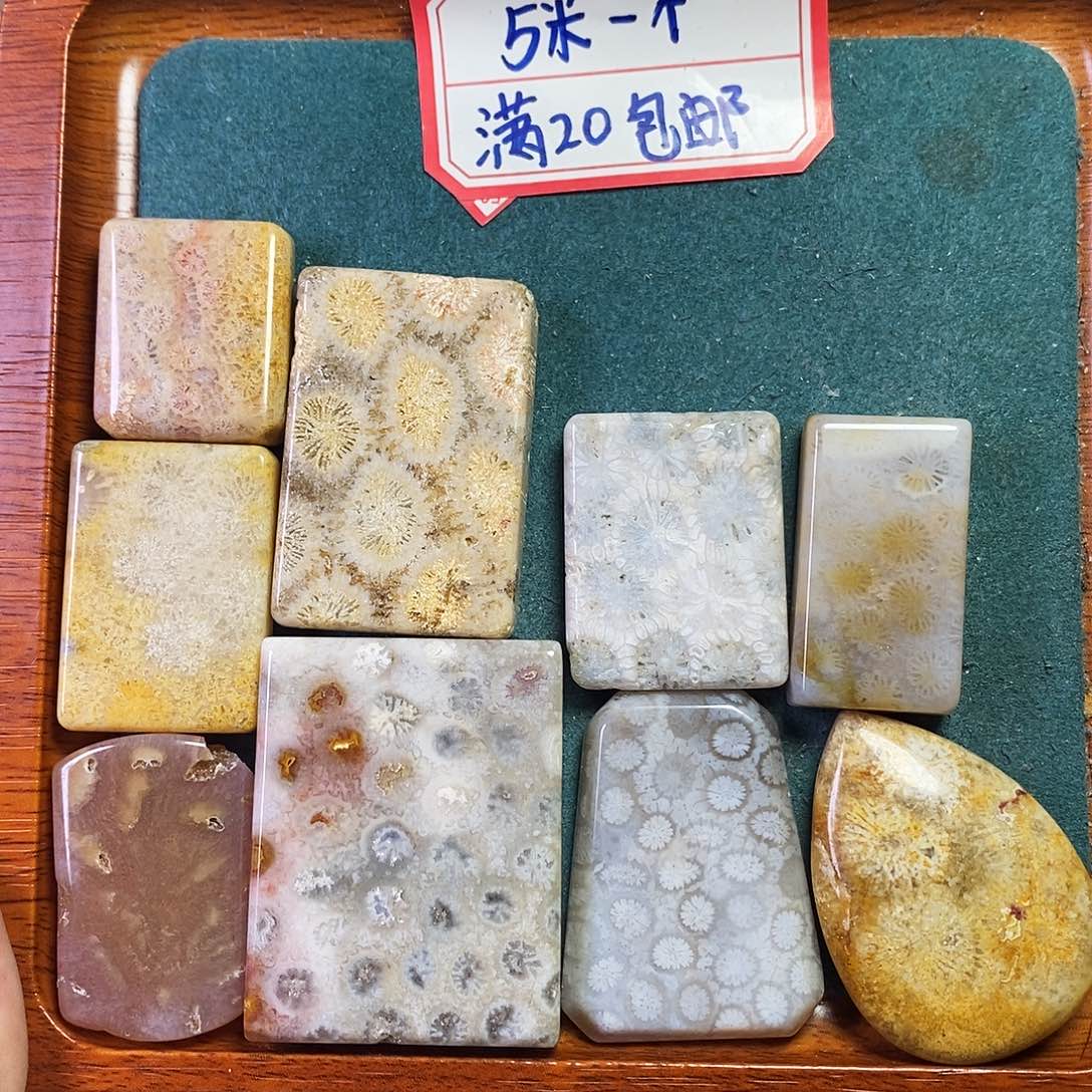 硅化珊瑚（珊瑚玉）吊坠未镶嵌蔷*