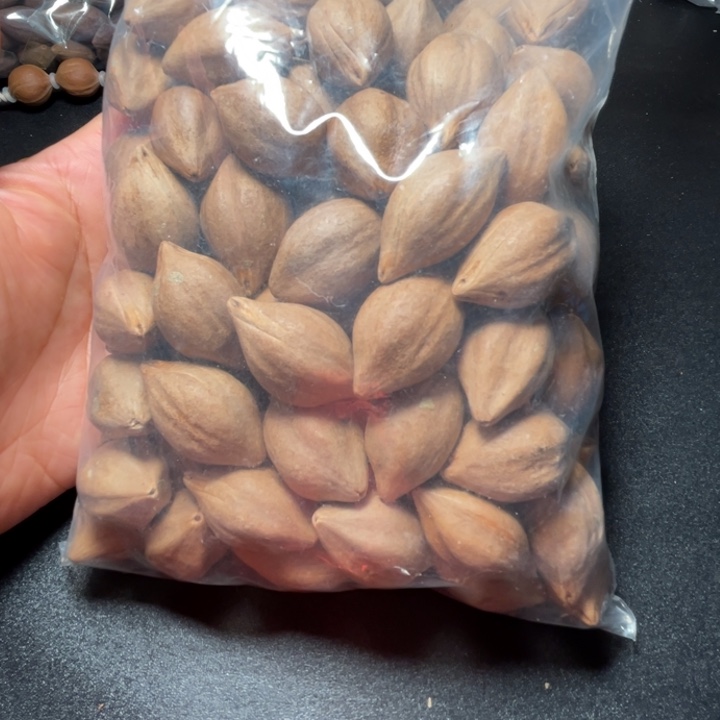 时***我手串/手链猪牙我是