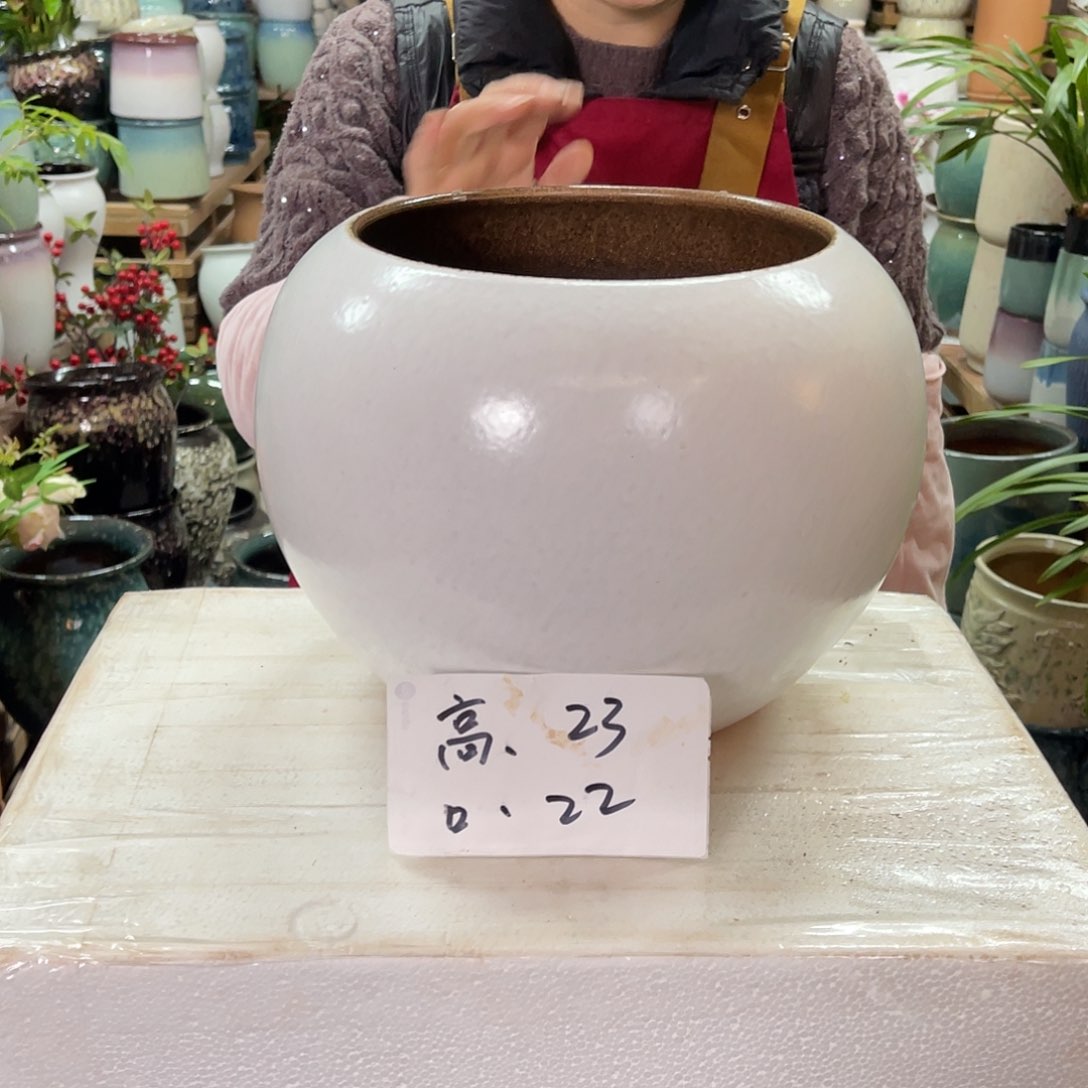 红陶高度23口径22