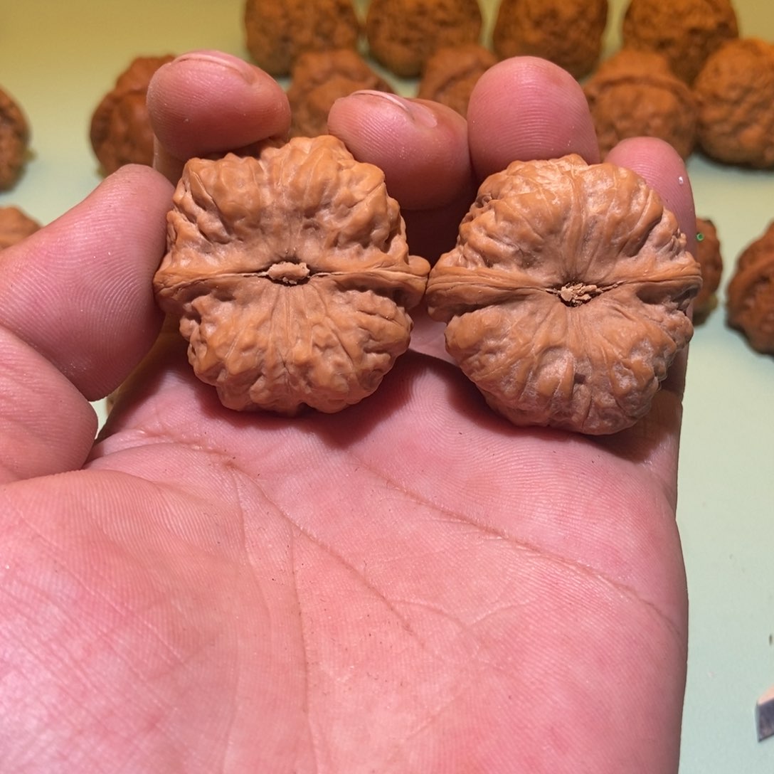 核桃手串/手链2**0蛤蟆头40一对