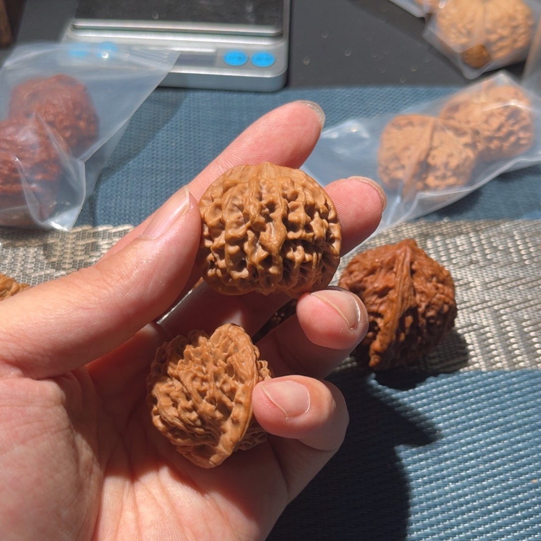 M***.核桃微微水尖秦闷狮子头