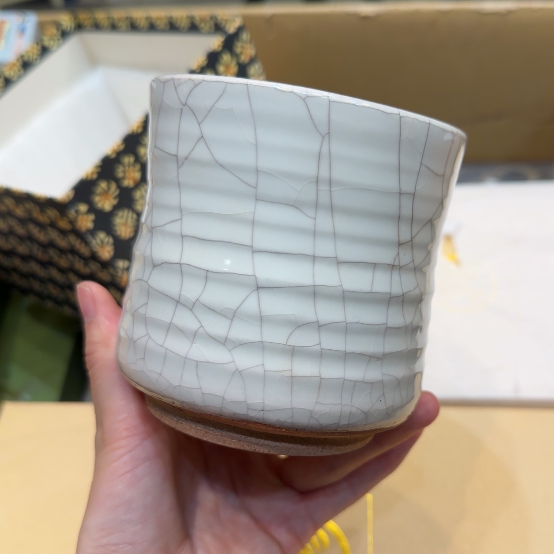 紫砂哈哈哈哈哈哈