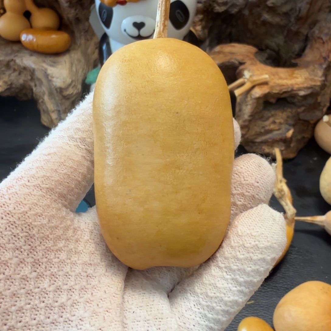 二***哥66666666666666666666