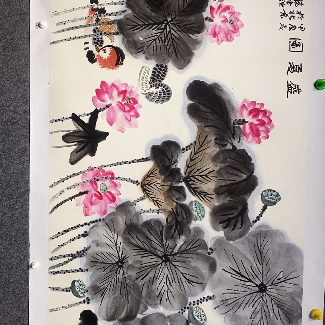 横款带灯jgj老师荷花