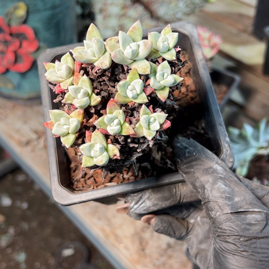 8950哈哈哈哈哈哈哈哈