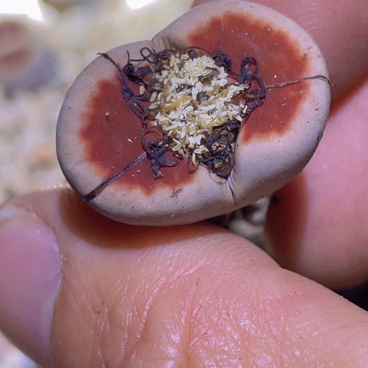 48880 9 8888888885788