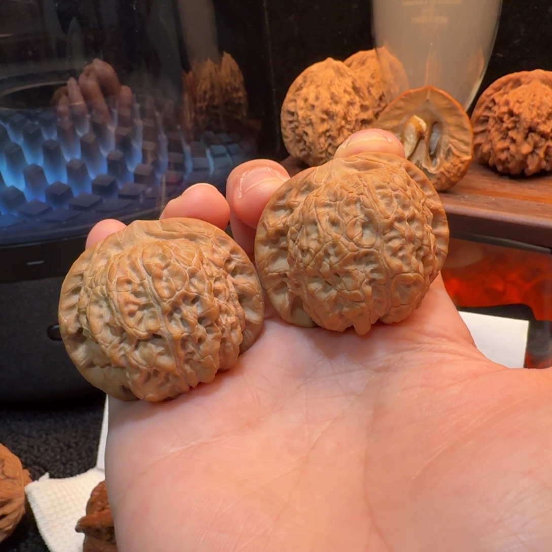 核桃41+全品血麒麟