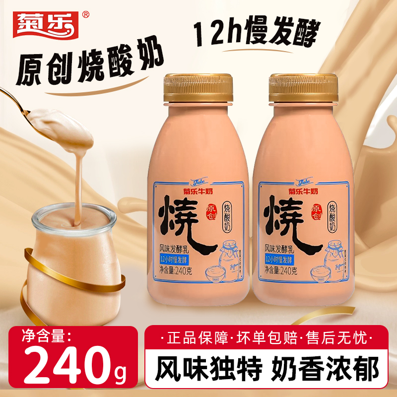 【炭烧焦香风味】菊乐烧酸奶慢酸奶12h慢发酵240g/袋早餐奶风味酸奶