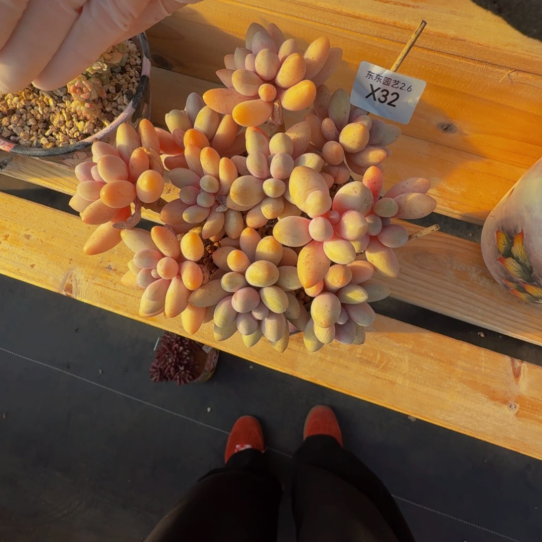 x x x x x x x x x 32