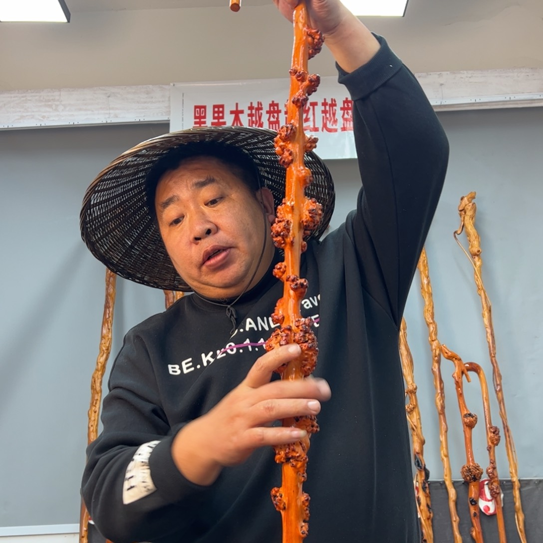 黑果木其他黑果木385