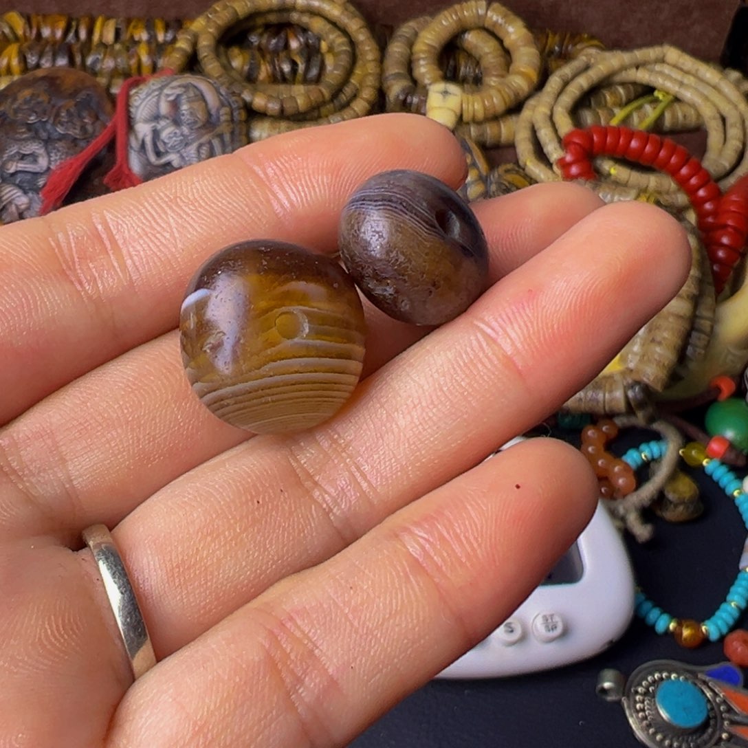 破布木（黑柿木）✦***钒