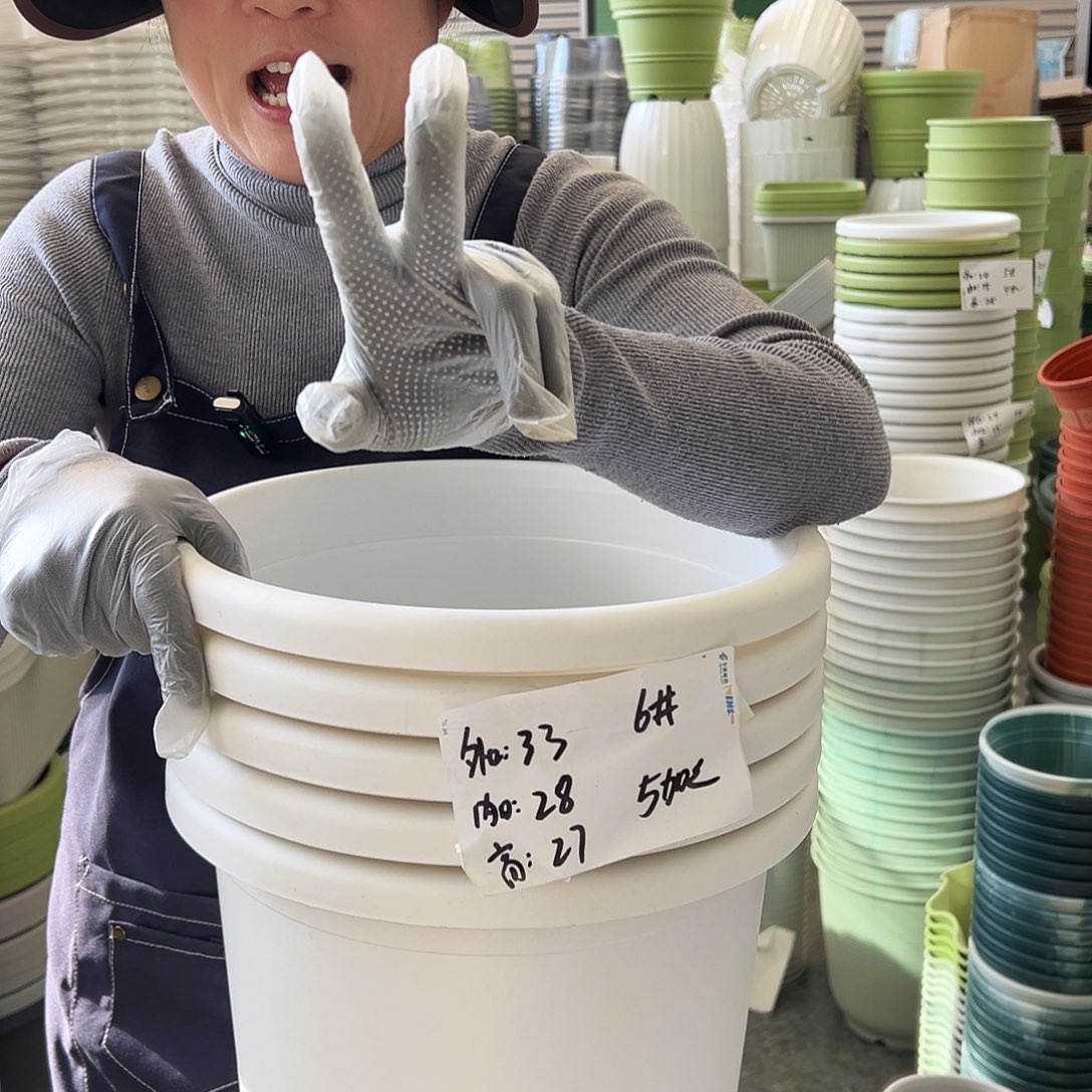 四季盆6#白色5个无托