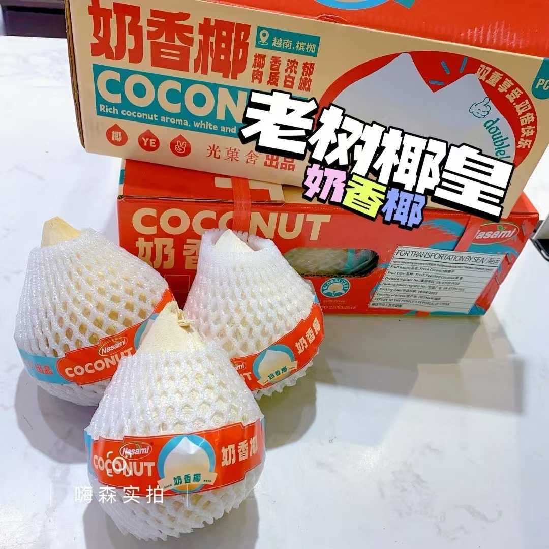 老树椰皇（1个约500g）