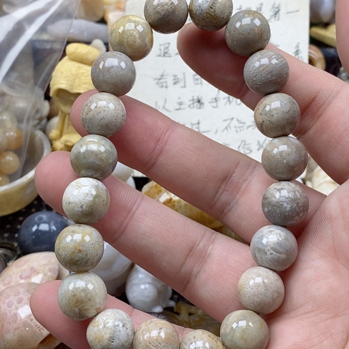 颈饰未镶嵌硅化珊瑚（珊瑚玉）