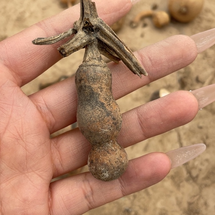 启*葫芦葫芦葫芦葫芦