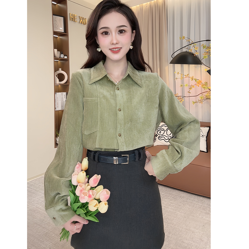 法式经典别致简约翻领衬衫女2024秋冬季新款设计感小众长袖上衣