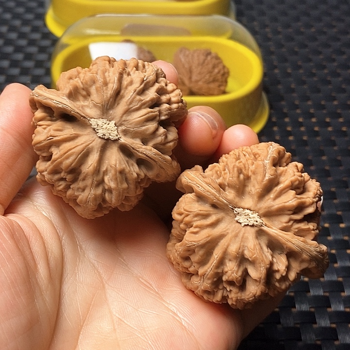 把件文玩核桃粗筋
