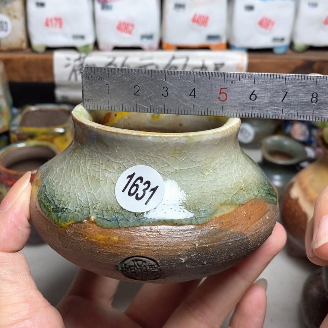 拍5送一个小礼物