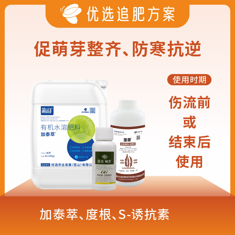 促萌芽整齐、防寒抗逆套餐 提高葡萄抗寒能力，降低倒春寒影响