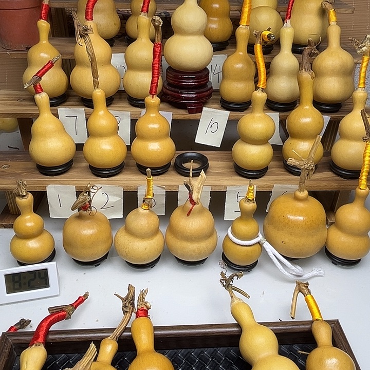 白***蘭啦啦啦啦啦啦啦啦啦啦