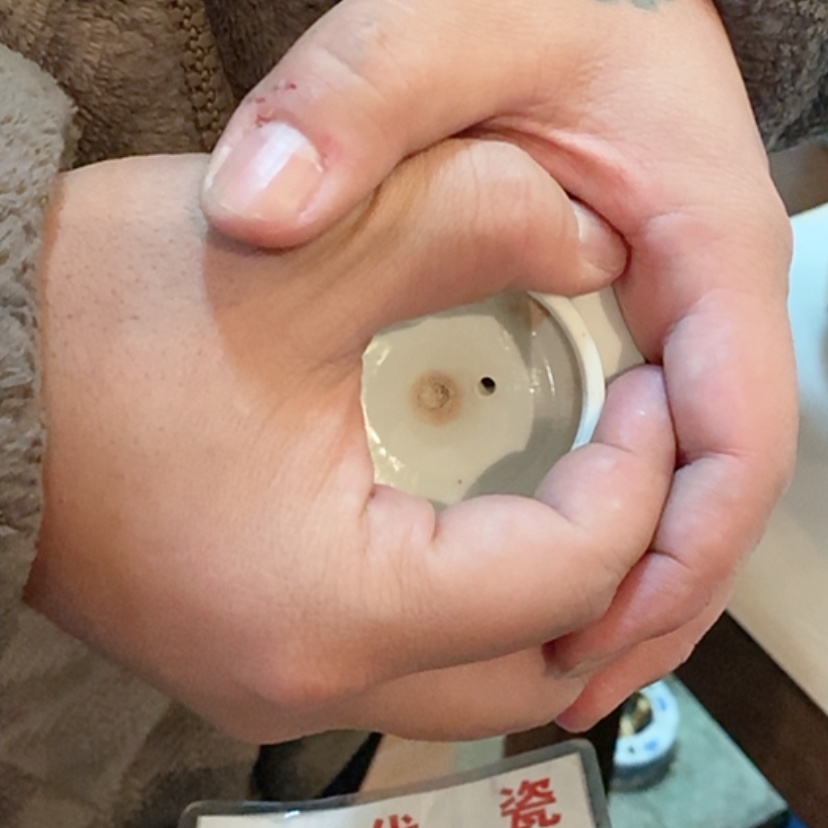 【闪购商品】瓷片小*椒景德镇现代工艺品