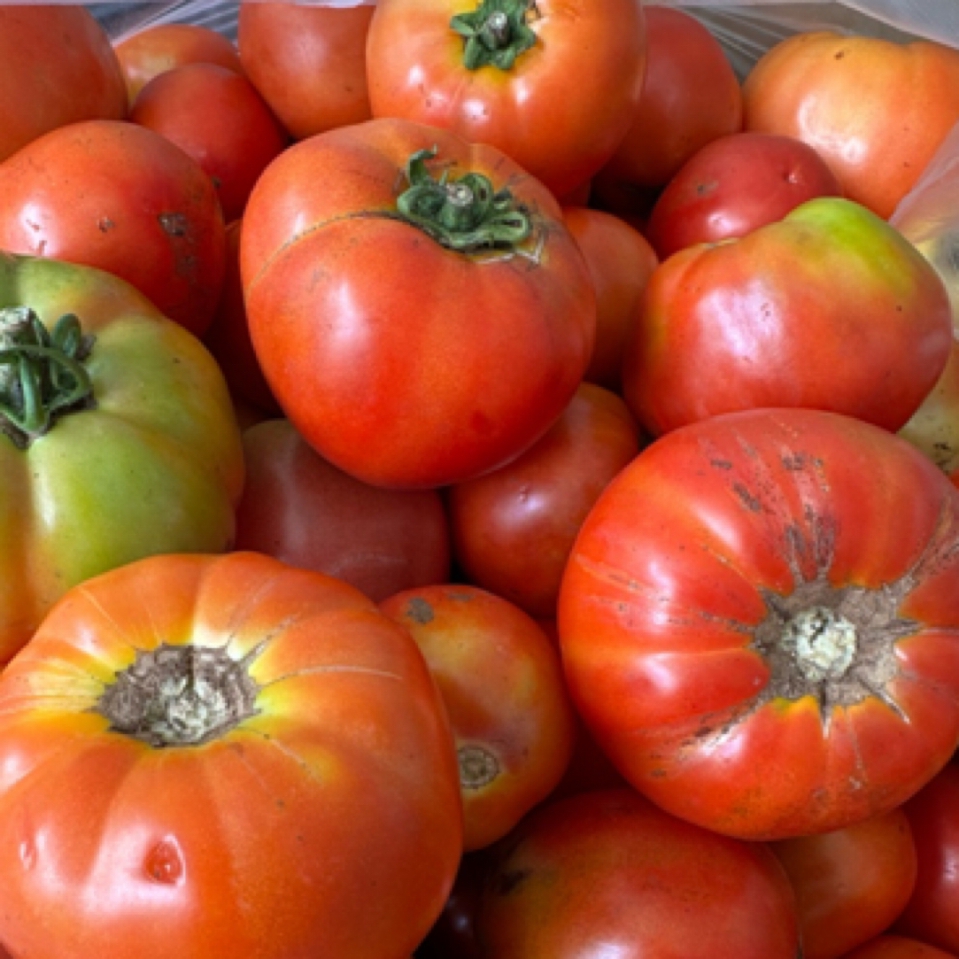 【西红柿】农家露天自种鲜美可口