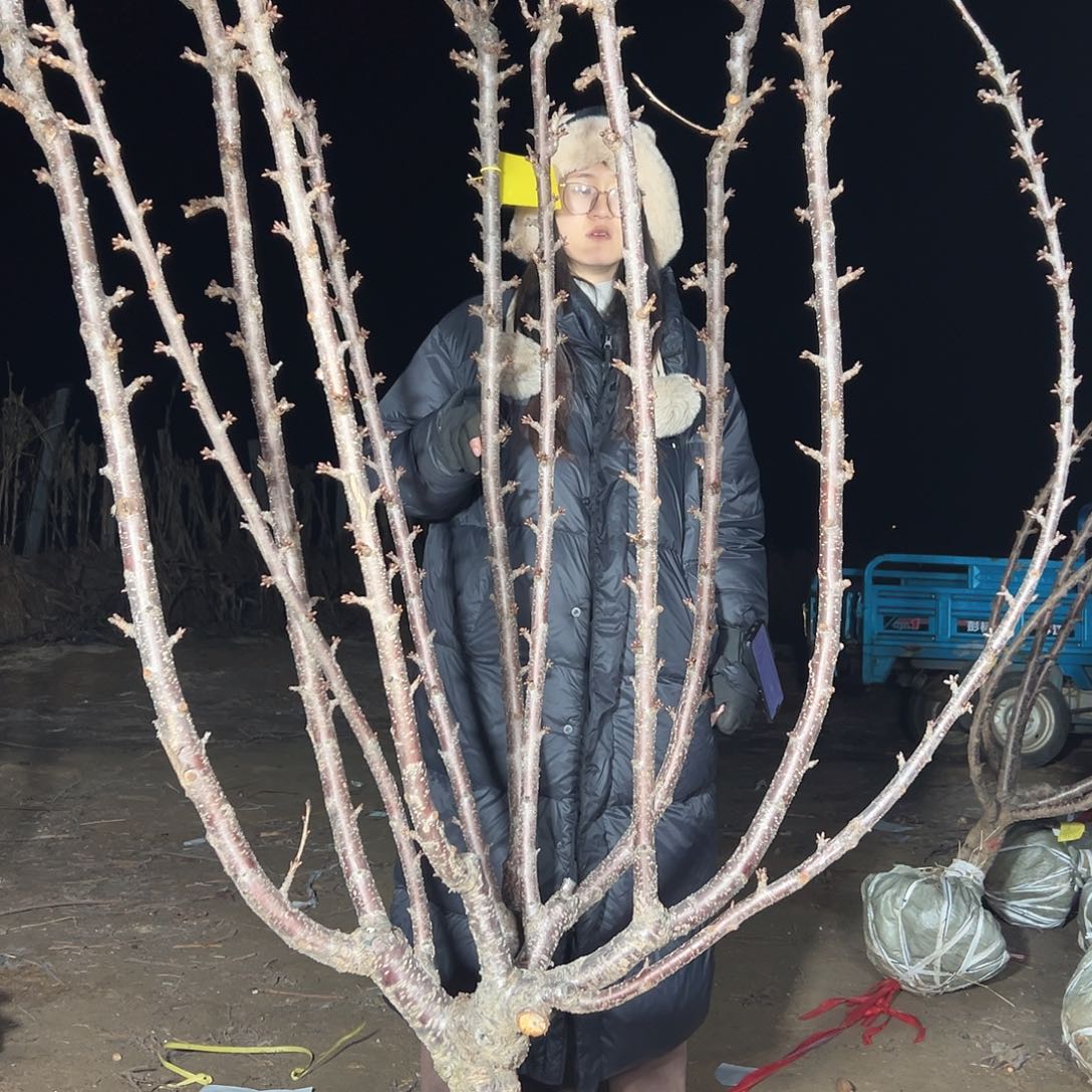 通***知直播间专拍直播间专拍