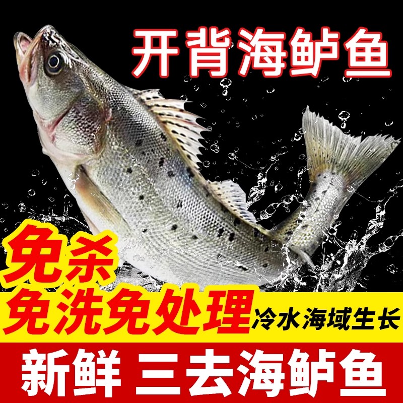 新鲜正宗海鲈鱼三去开背深海去鳞去腮冰鲜顺丰包邮真空包装