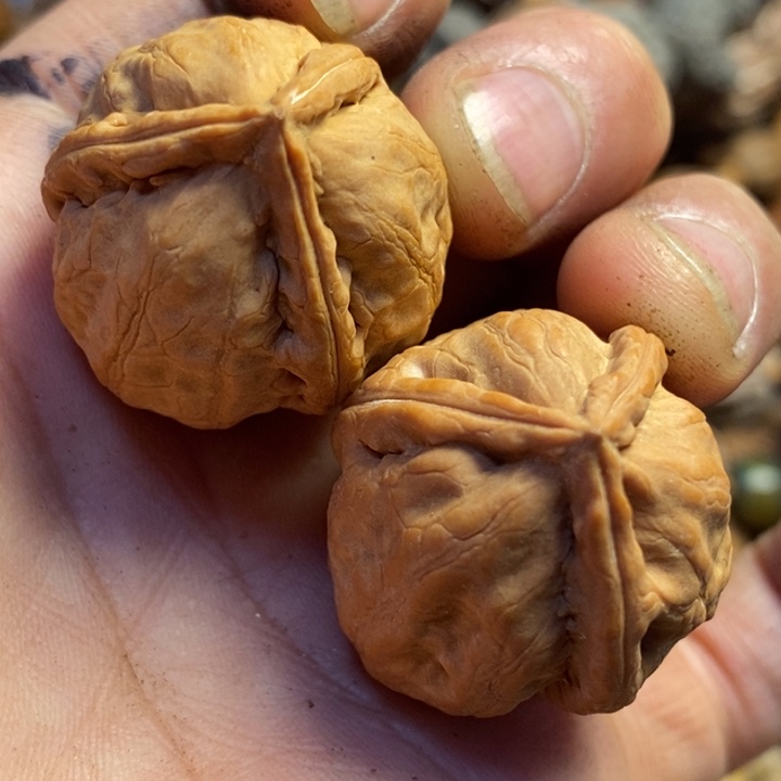 桃核吊坠东北东北特产2