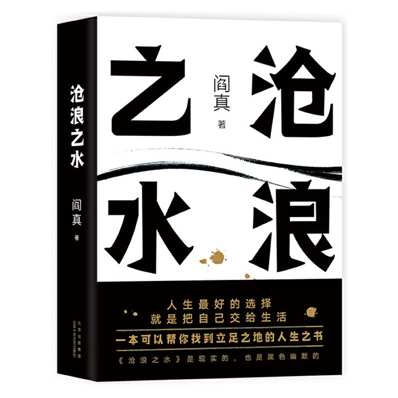 沧浪之水 阎真 经典官场小说 现当代小说 阎真 活着之上 岁月