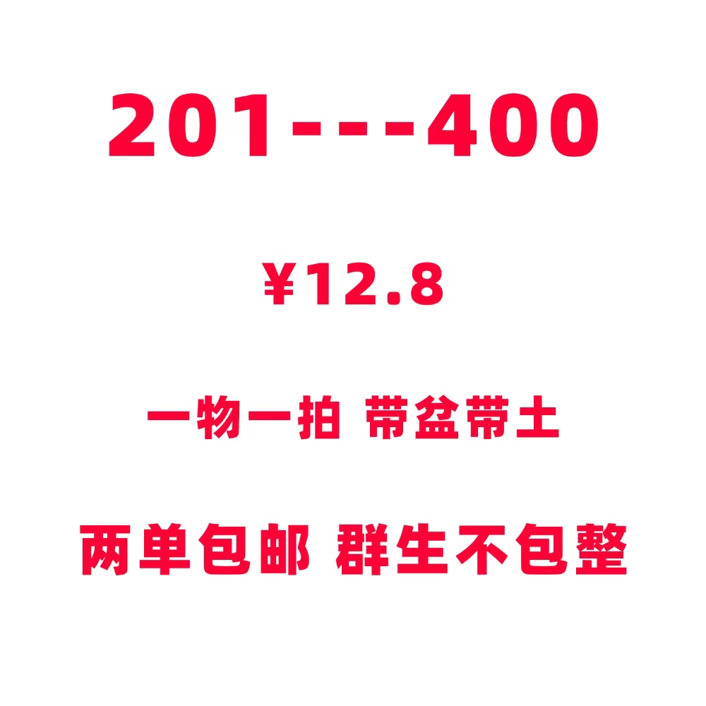 201-400两单包邮，奶罐盆5厘米迷你植物介意勿拍