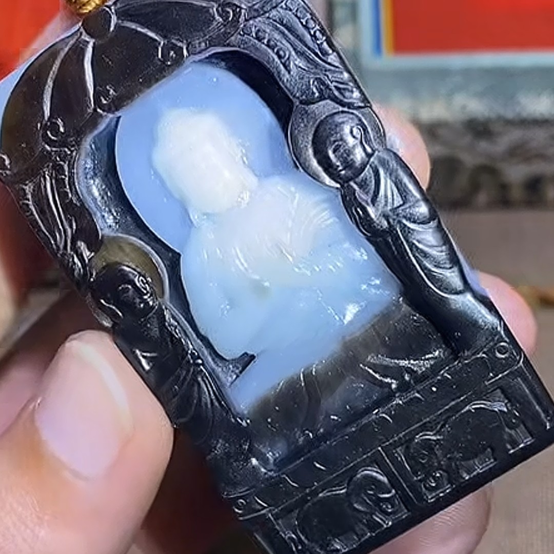 石包多样性拍一发一12月12日 A7