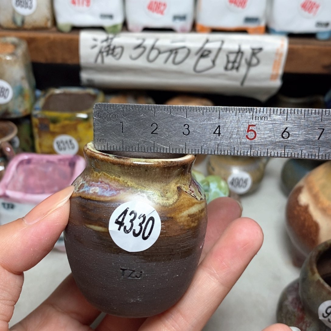 拍5送一个小礼物