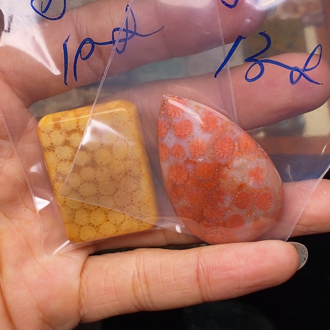 水***天硅化玉合金珊瑚玉