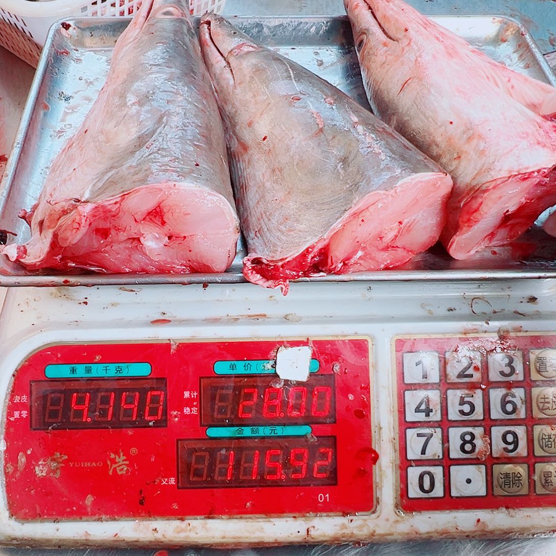 中国大陆三个鳗鱼头