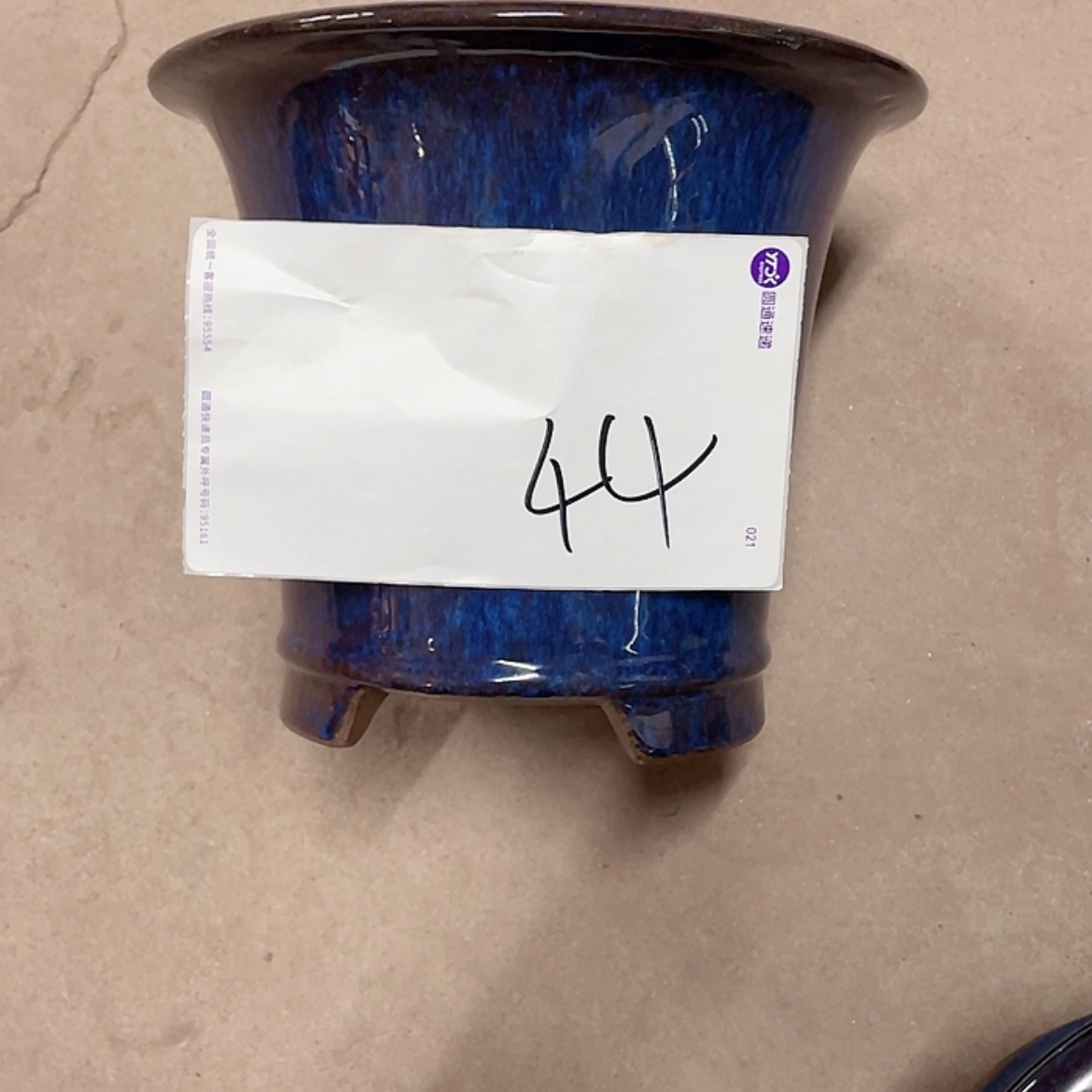 【闪购商品】紫砂花盆红*兰花643464664464646948