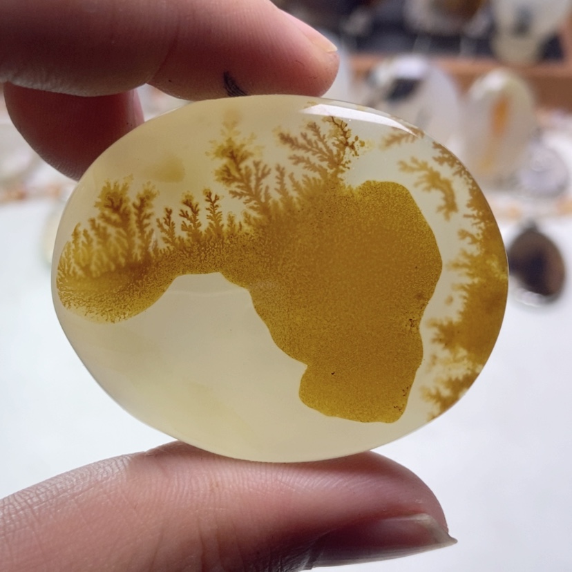 【闪购商品】玛瑙/玉髓颈饰未镶嵌