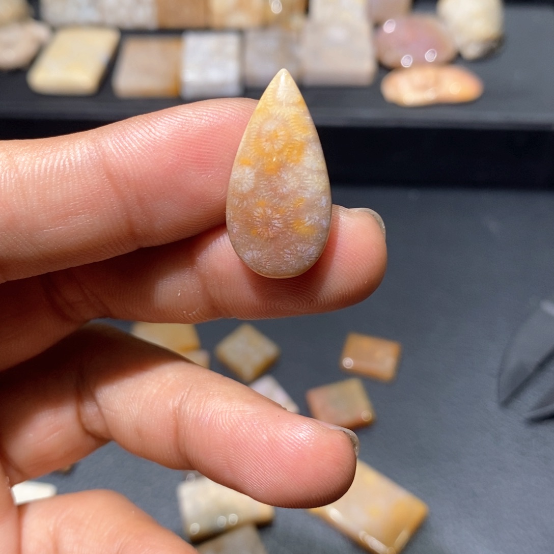 【闪购商品】硅化玉颈饰未镶嵌