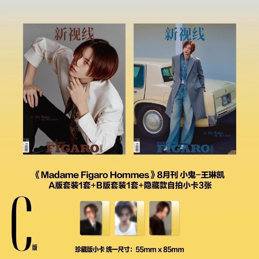 费加罗男士新视线2025年8月 小鬼 王琳凯封面 C套装