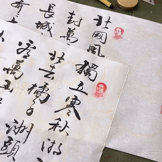 书法书法作品沁园春