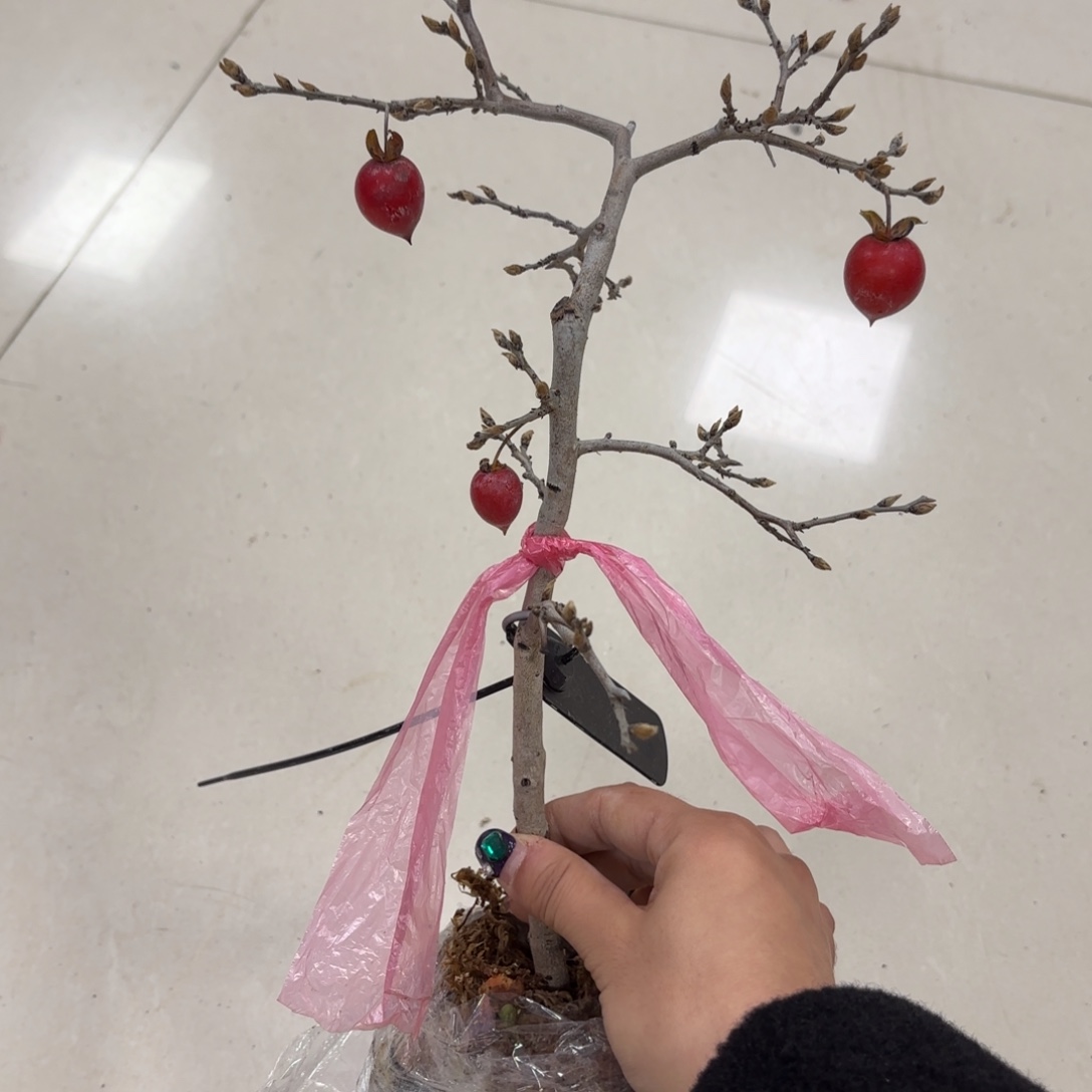 知****哈哈哈哈哈哈未知