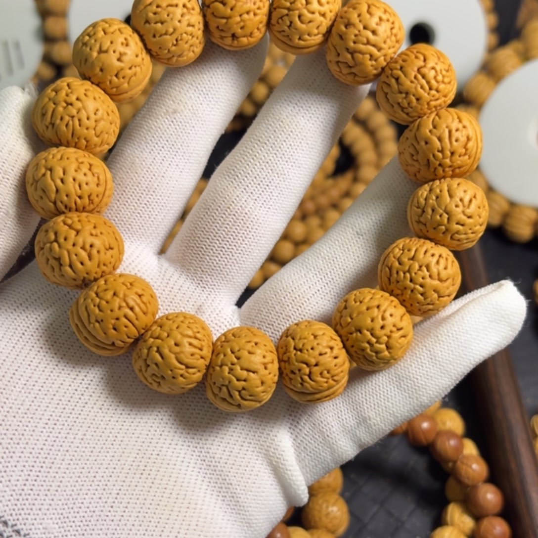 挺***的7号19.5尺寸老树苹果