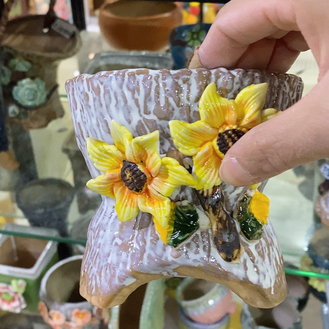 【闪购商品】红陶福利